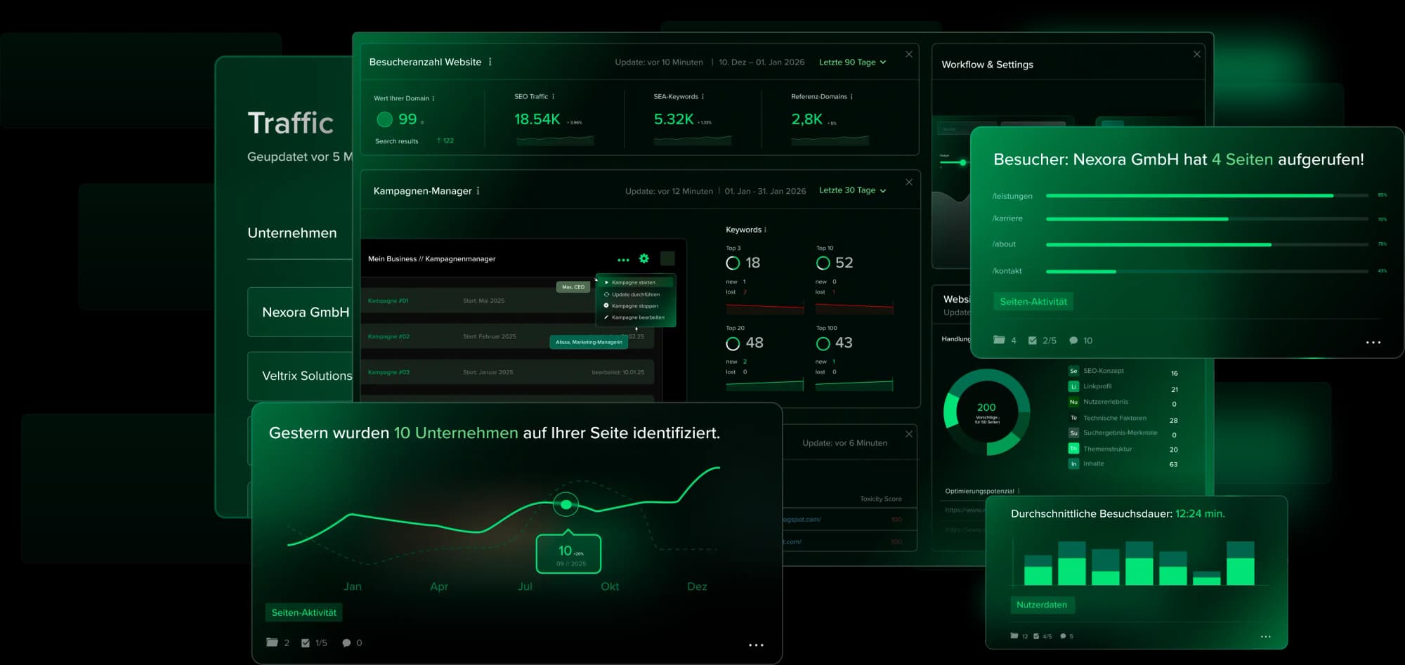 Dashboard screens with website traffic, campaigns and visitor analysis